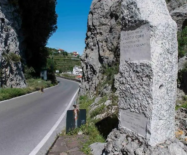 Gioia * Фуроре